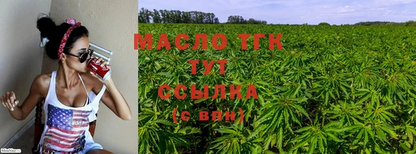 стаф Михайловск
