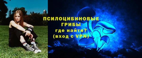 мяу мяу мука Алексин